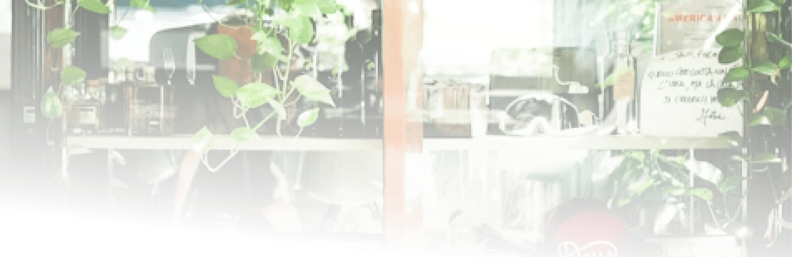 Image de présentation