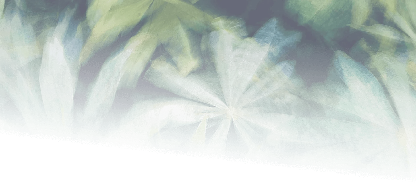 Image de présentation