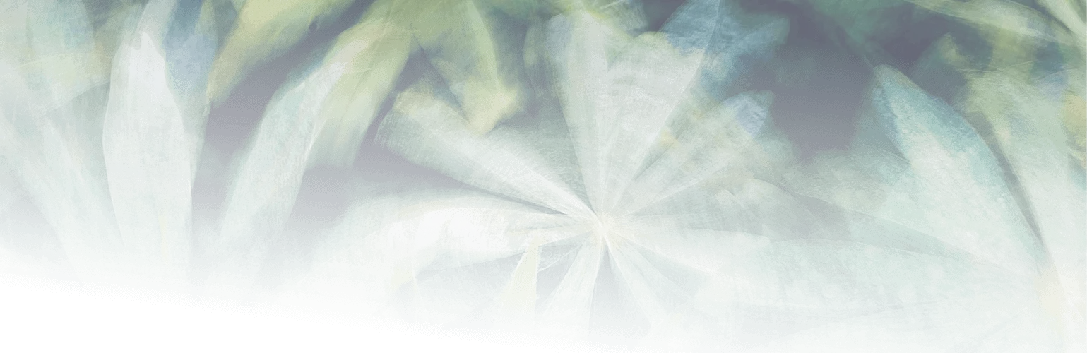 Image de présentation